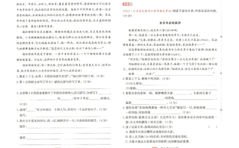 《一本》语文同步阅读三年级下册真题卷_三年级上下册资料_小学三年级学习资料-25年更新版_3-02、小学三年级语文下册_3-2-2、练习题、作业、试题、试卷_电子册类