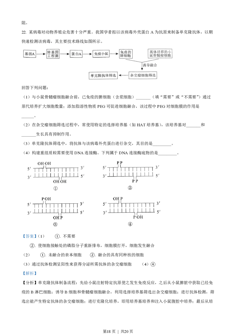 2023年高考生物试卷（湖北）（解析卷）_生物历年高考真题_新&middot;PDF版2008-2025&middot;高考生物真题_生物（按试卷类型分类）2008-2025_自主命题卷&middot;生物（2008-2025）_湖北自主命题&middot;生物（2021-2025）