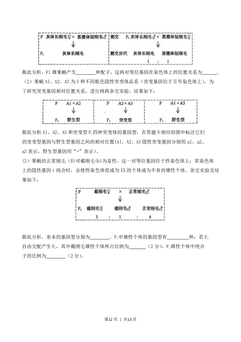 2023年高考生物试卷（江苏）（空白卷）_生物历年高考真题_新&middot;PDF版2008-2025&middot;高考生物真题_生物（按试卷类型分类）2008-2025_自主命题卷&middot;生物（2008-2025）_江苏自主命题&middot;生物（2008-2025）