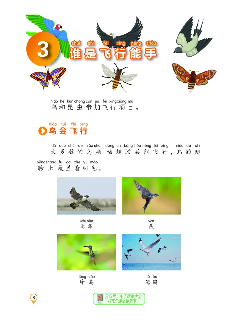 科学一下沪科版五四制（2025春）_小学全网线上同款资料_2025春新增教材合集_小学科学（2025春新教材）