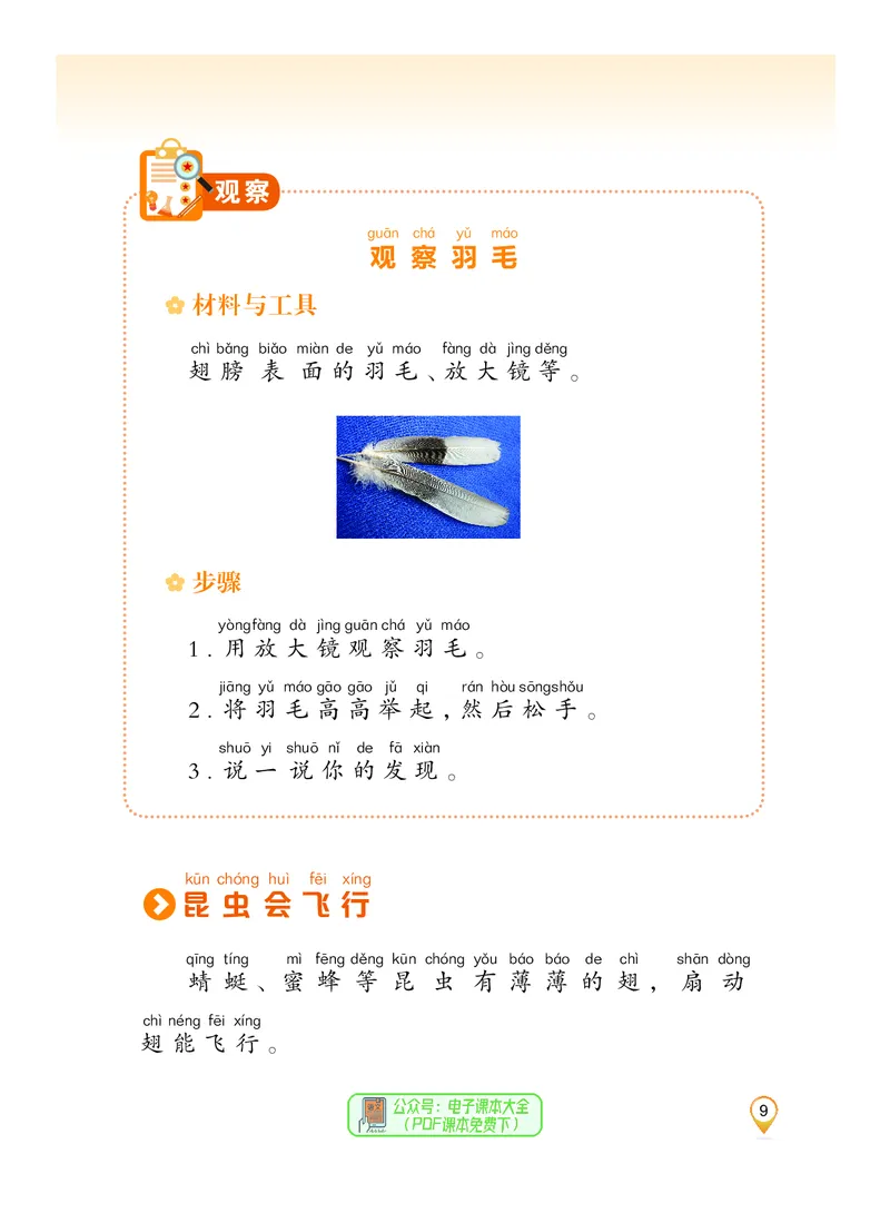 科学一下沪科版五四制（2025春）_小学全网线上同款资料_2025春新增教材合集_小学科学（2025春新教材）