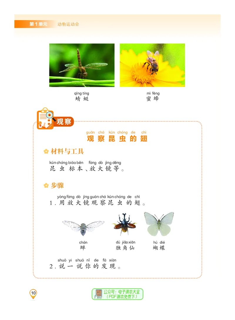 科学一下沪科版五四制（2025春）_小学全网线上同款资料_2025春新增教材合集_小学科学（2025春新教材）