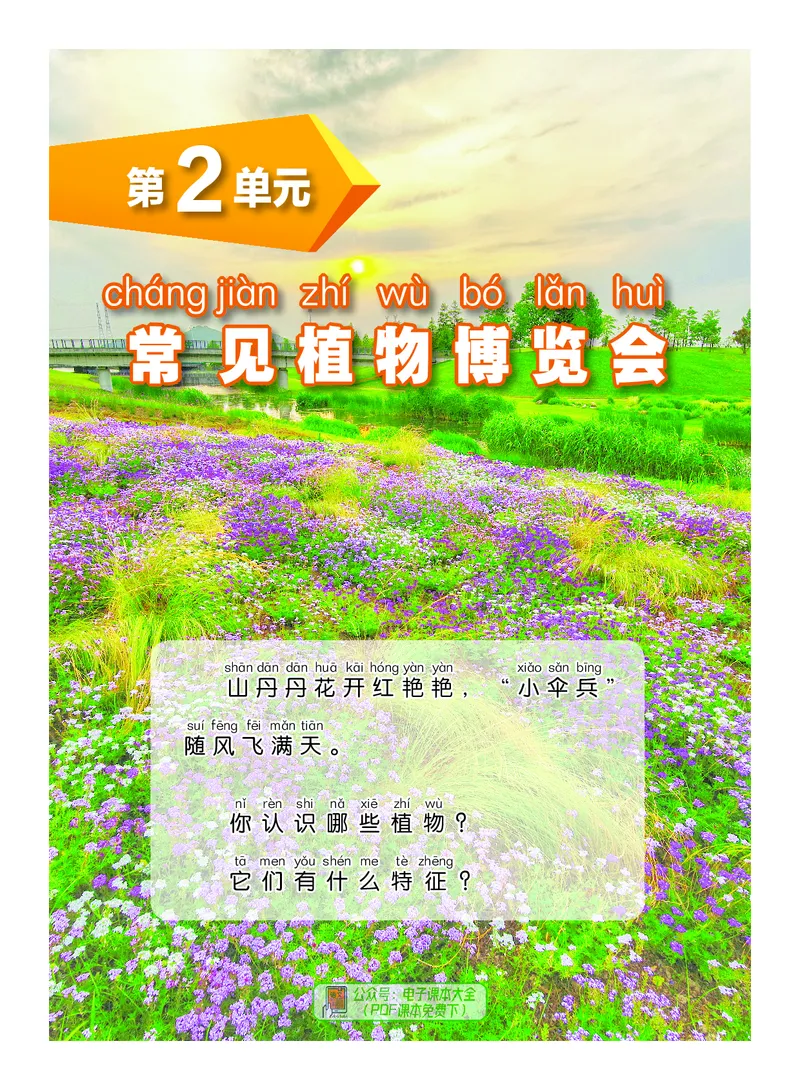 科学一下沪科版五四制（2025春）_小学全网线上同款资料_2025春新增教材合集_小学科学（2025春新教材）