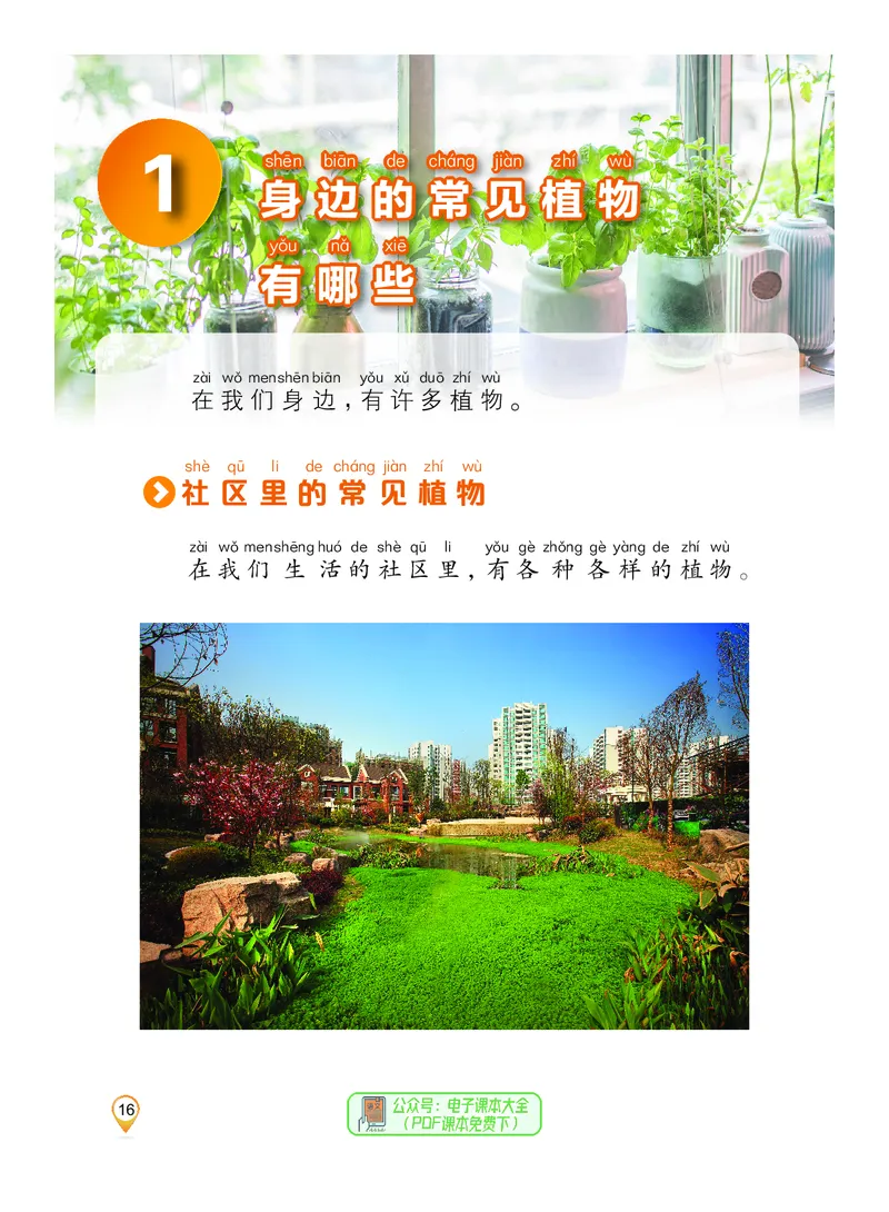 科学一下沪科版五四制（2025春）_小学全网线上同款资料_2025春新增教材合集_小学科学（2025春新教材）