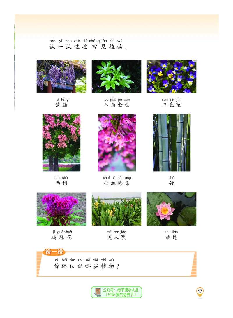 科学一下沪科版五四制（2025春）_小学全网线上同款资料_2025春新增教材合集_小学科学（2025春新教材）