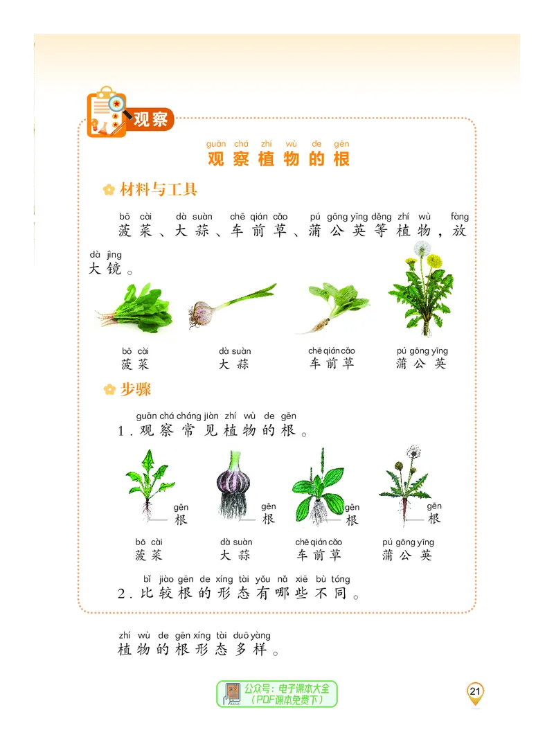 科学一下沪科版五四制（2025春）_小学全网线上同款资料_2025春新增教材合集_小学科学（2025春新教材）