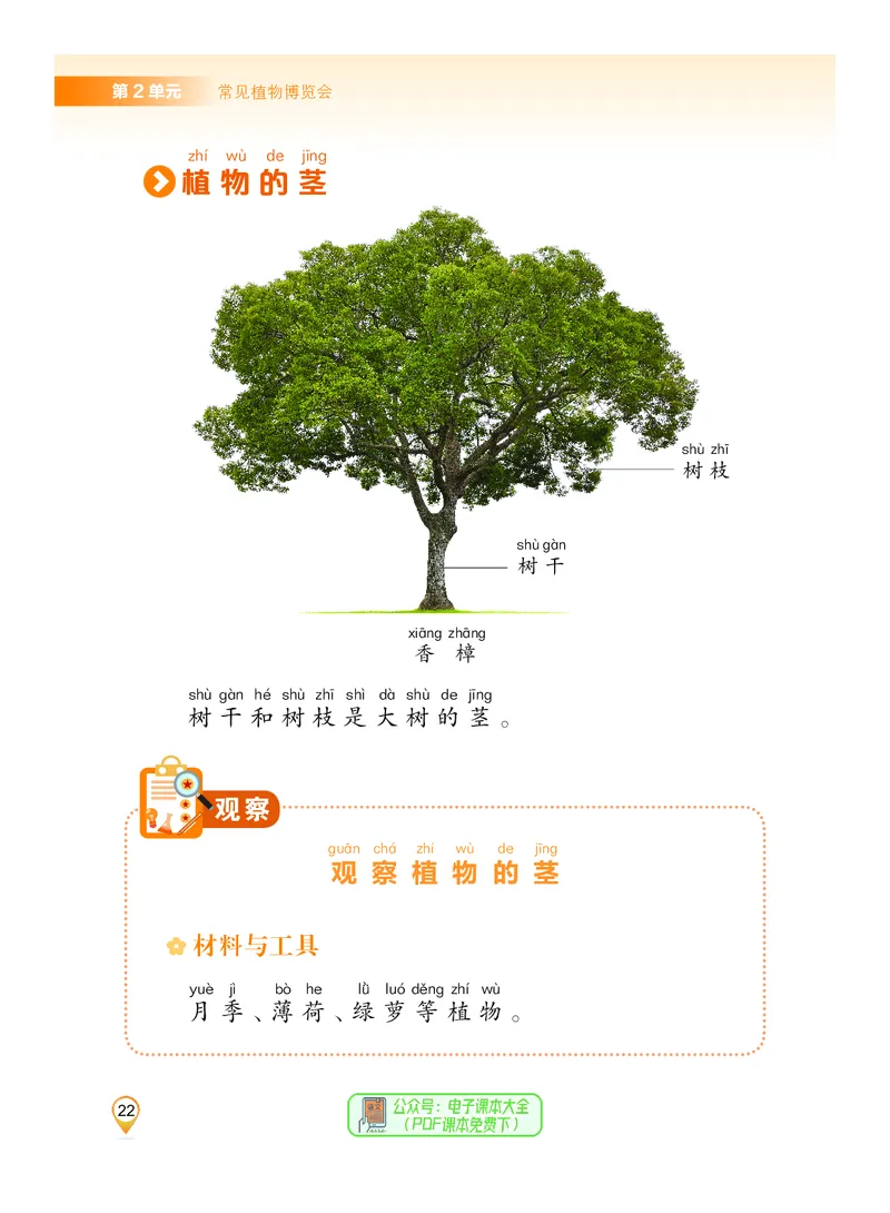 科学一下沪科版五四制（2025春）_小学全网线上同款资料_2025春新增教材合集_小学科学（2025春新教材）