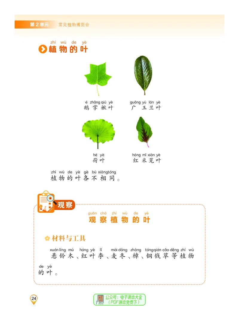 科学一下沪科版五四制（2025春）_小学全网线上同款资料_2025春新增教材合集_小学科学（2025春新教材）