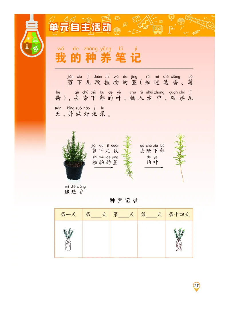 科学一下沪科版五四制（2025春）_小学全网线上同款资料_2025春新增教材合集_小学科学（2025春新教材）