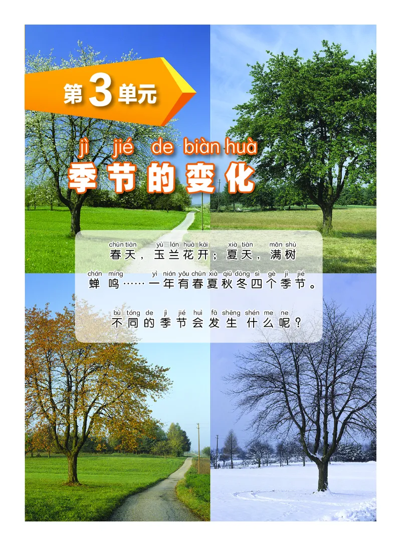 科学一下沪科版五四制（2025春）_小学全网线上同款资料_2025春新增教材合集_小学科学（2025春新教材）