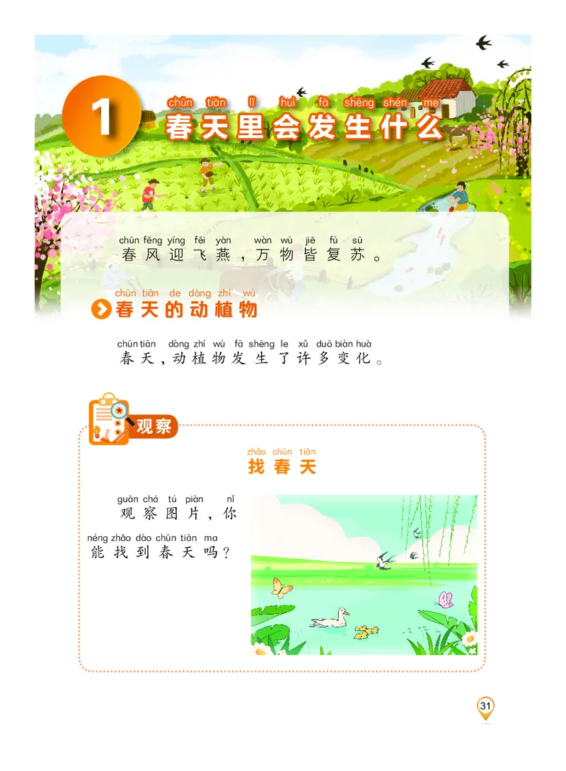 科学一下沪科版五四制（2025春）_小学全网线上同款资料_2025春新增教材合集_小学科学（2025春新教材）