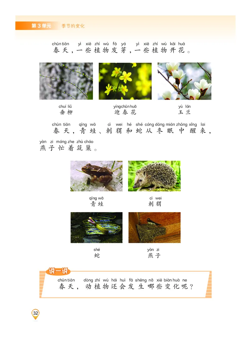 科学一下沪科版五四制（2025春）_小学全网线上同款资料_2025春新增教材合集_小学科学（2025春新教材）