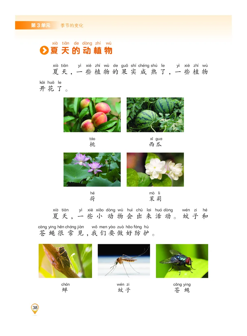 科学一下沪科版五四制（2025春）_小学全网线上同款资料_2025春新增教材合集_小学科学（2025春新教材）