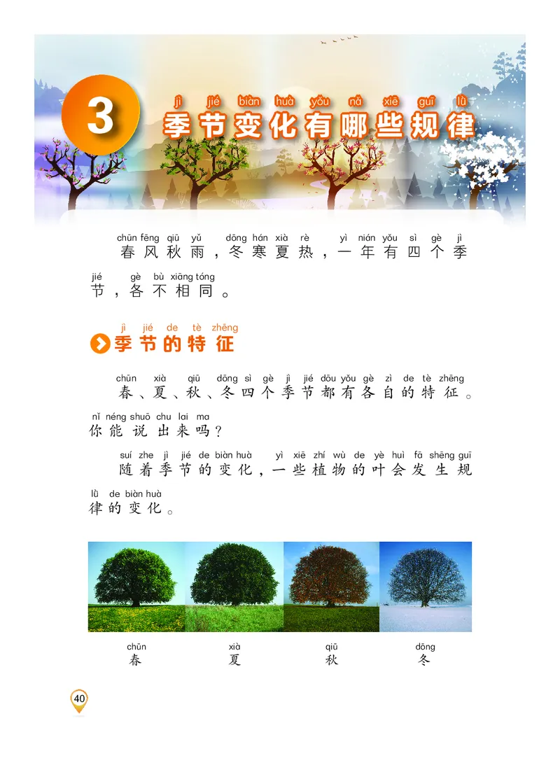 科学一下沪科版五四制（2025春）_小学全网线上同款资料_2025春新增教材合集_小学科学（2025春新教材）