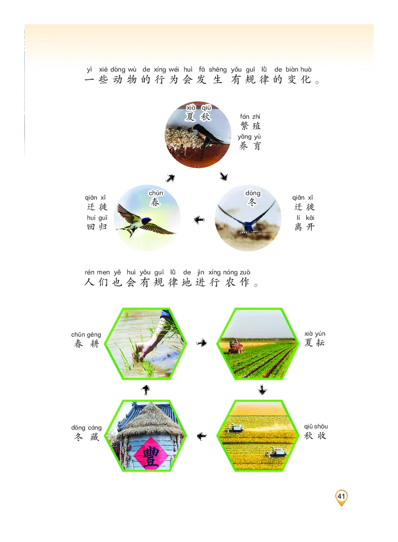 科学一下沪科版五四制（2025春）_小学全网线上同款资料_2025春新增教材合集_小学科学（2025春新教材）