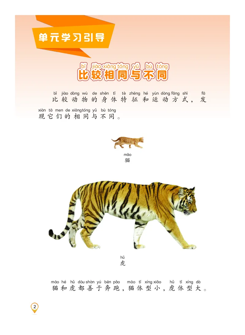 科学一下沪科版五四制（2025春）_小学全网线上同款资料_2025春新增教材合集_小学科学（2025春新教材）