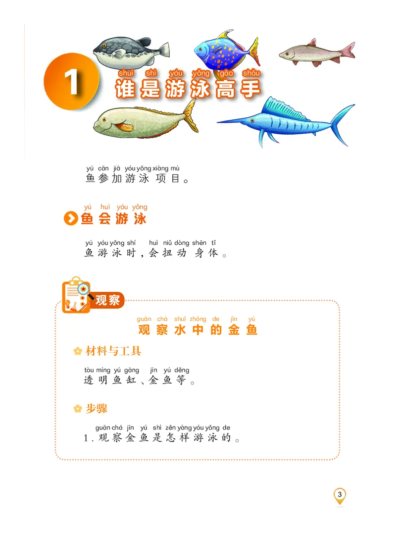 科学一下沪科版五四制（2025春）_小学全网线上同款资料_2025春新增教材合集_小学科学（2025春新教材）