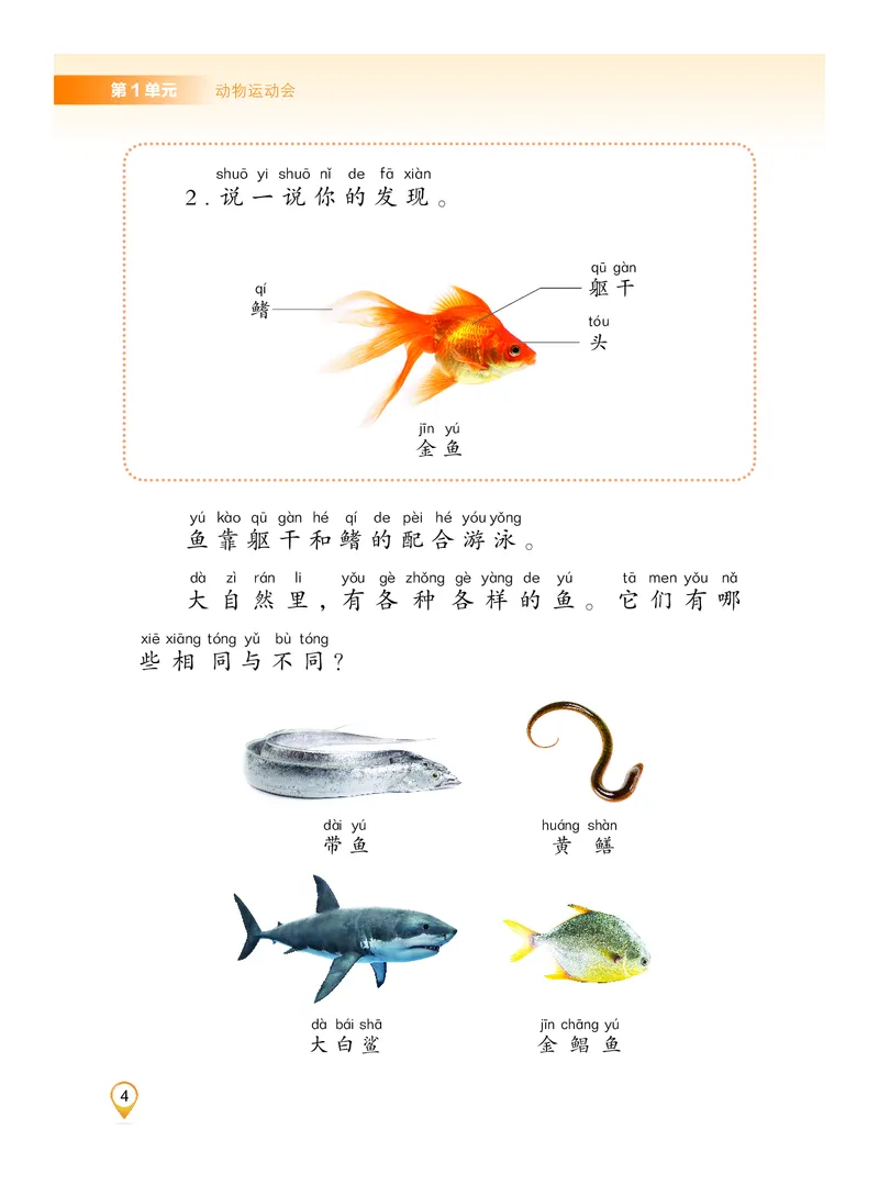 科学一下沪科版五四制（2025春）_小学全网线上同款资料_2025春新增教材合集_小学科学（2025春新教材）