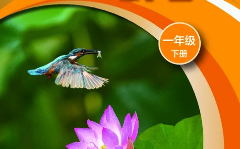 科学一下沪科版五四制（2025春）_小学全网线上同款资料_2025春新增教材合集_小学科学（2025春新教材）