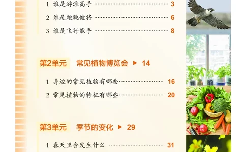 科学一下沪科版五四制（2025春）_小学全网线上同款资料_2025春新增教材合集_小学科学（2025春新教材）