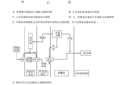 2023年高考生物试卷（天津）（空白卷）_生物历年高考真题_新&middot;Word版2008-2025&middot;高考生物真题_生物（按年份分类）2008-2025_2023&middot;高考生物真题