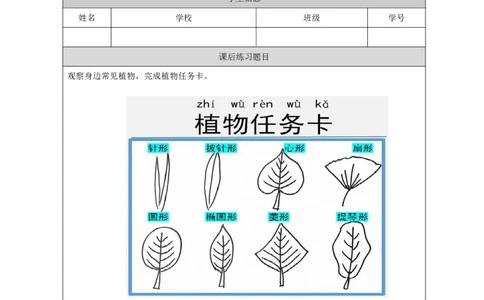 55认识植物_国家课_练习题_3_一年级上下册资料_小学一年级学习资料-25年更新版_1-09、小学一年级科学上册_冀人版