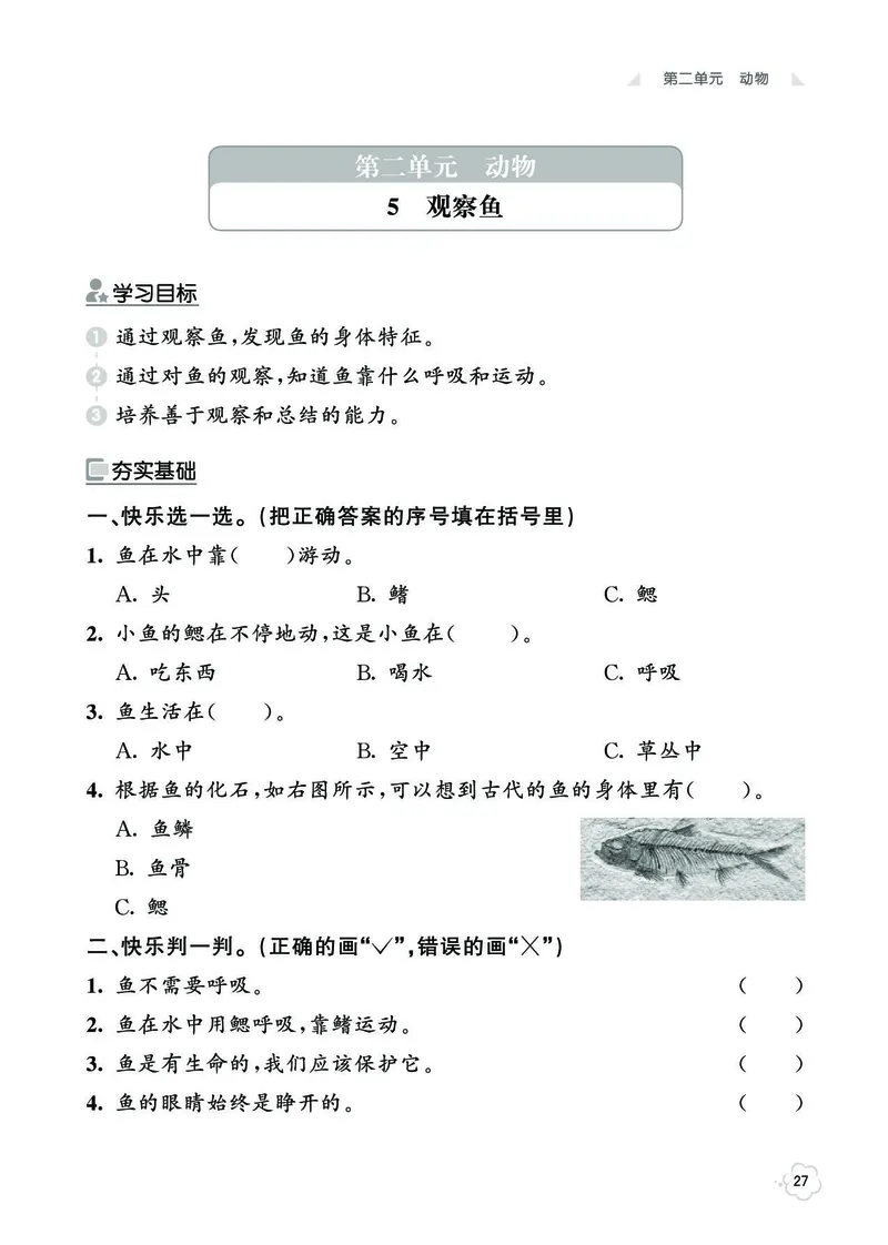 《七彩同步训练》科学1年级下册（教科版）_一年级上下册资料_小学一年级学习资料-25年更新版_1-10、小学一年级科学下册_教科版_电子册类