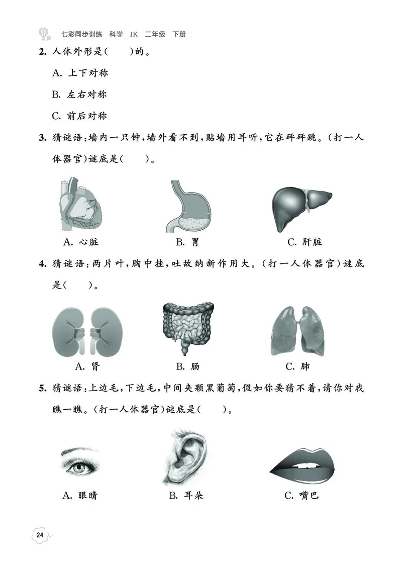 《七彩同步训练》2年级下册（教科版）_二年级上下册资料_小学二年级学习资料-25年更新版_2-10、小学二年级科学下册_教科版_电子册类