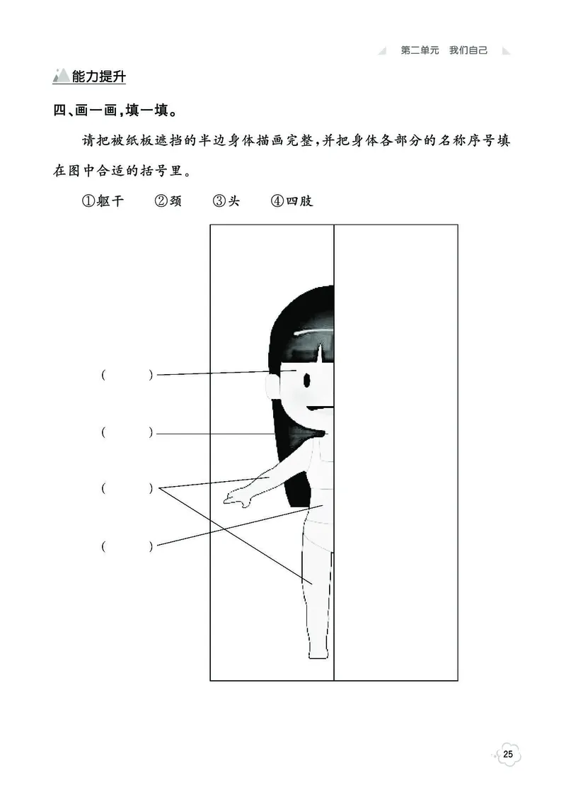 《七彩同步训练》2年级下册（教科版）_二年级上下册资料_小学二年级学习资料-25年更新版_2-10、小学二年级科学下册_教科版_电子册类