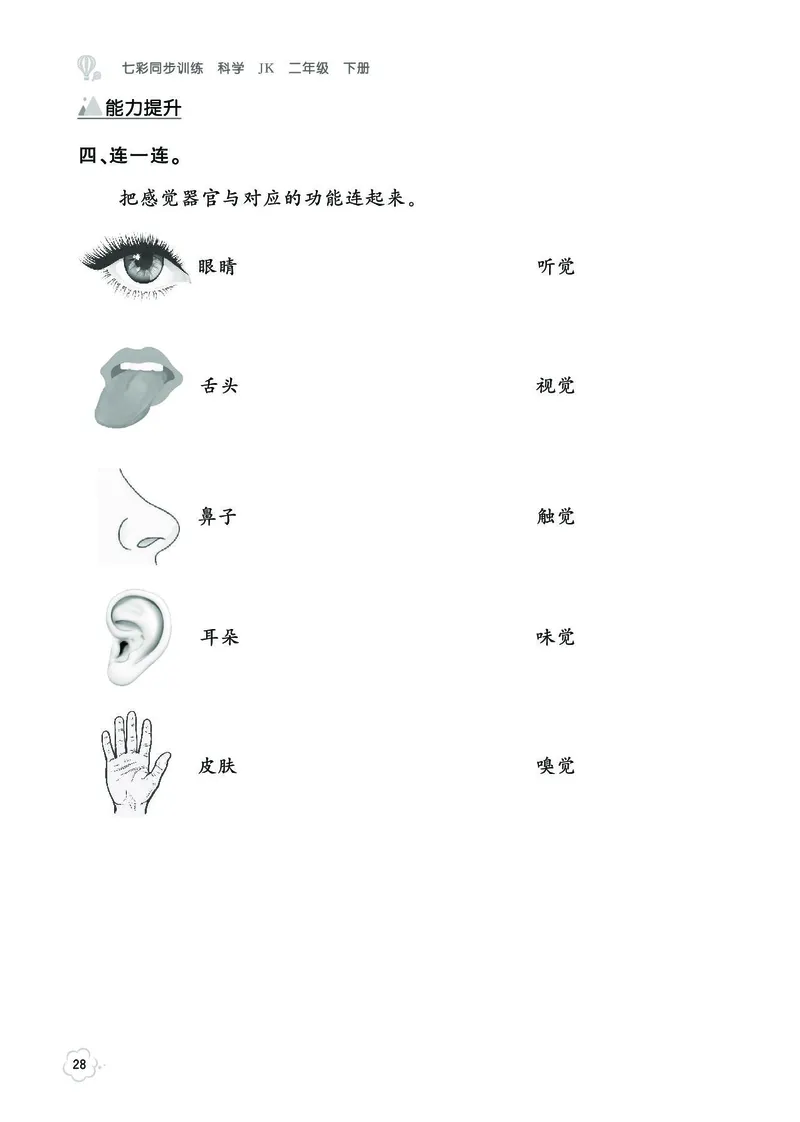 《七彩同步训练》2年级下册（教科版）_二年级上下册资料_小学二年级学习资料-25年更新版_2-10、小学二年级科学下册_教科版_电子册类