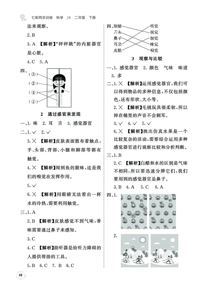 《七彩同步训练》2年级下册（教科版）_二年级上下册资料_小学二年级学习资料-25年更新版_2-10、小学二年级科学下册_教科版_电子册类
