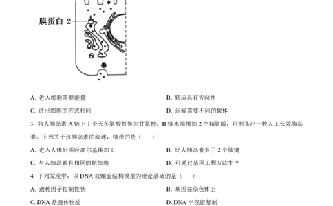 2022年高考生物试卷（重庆）（空白卷）_生物历年高考真题_新&middot;PDF版2008-2025&middot;高考生物真题_生物（按年份分类）2008-2025_2022&middot;高考生物真题