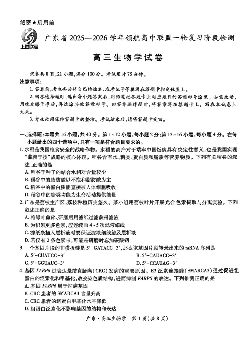 2025年10月广东省高三上进联考生物试卷_@高三模考真题_2025年10月广东省高三上进联考试卷及答案
