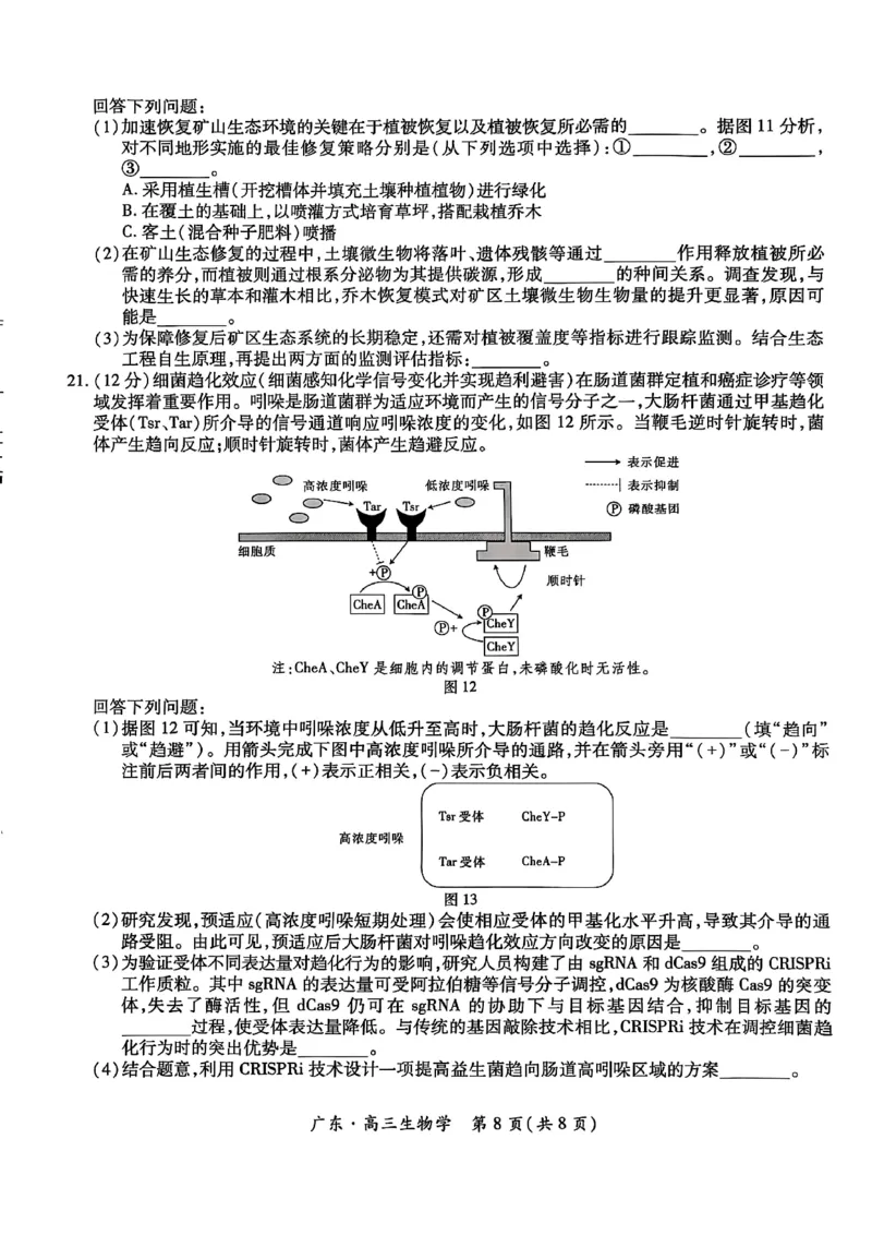 2025年10月广东省高三上进联考生物试卷_@高三模考真题_2025年10月广东省高三上进联考试卷及答案