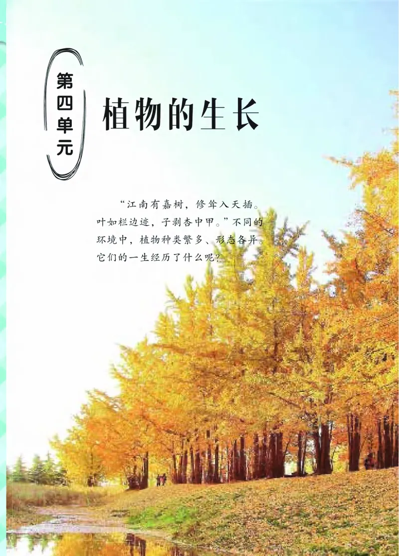 青岛版4年级科学下册高清教材_全部版本&bull;小学科学电子课本_青岛版63制小学科学课本