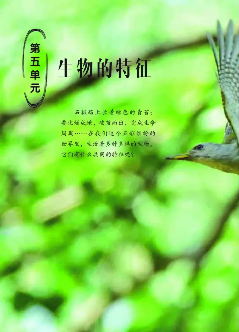 青岛版4年级科学下册高清教材_全部版本&bull;小学科学电子课本_青岛版63制小学科学课本