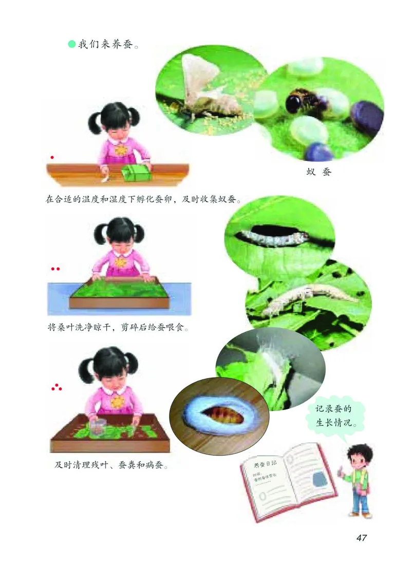 青岛版4年级科学下册高清教材_全部版本&bull;小学科学电子课本_青岛版63制小学科学课本