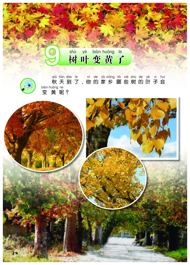 苏教版1年级科学上册高清教材_全部版本&bull;小学科学电子课本_苏教版小学科学电子课本