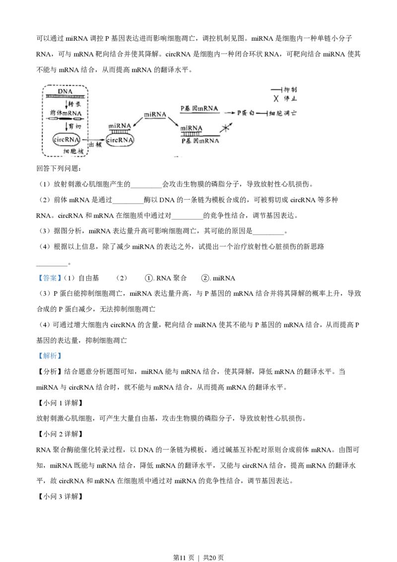 2023年高考生物试卷（广东）（解析卷）_生物历年高考真题_新&middot;PDF版2008-2025&middot;高考生物真题_生物（按年份分类）2008-2025_2023&middot;高考生物真题