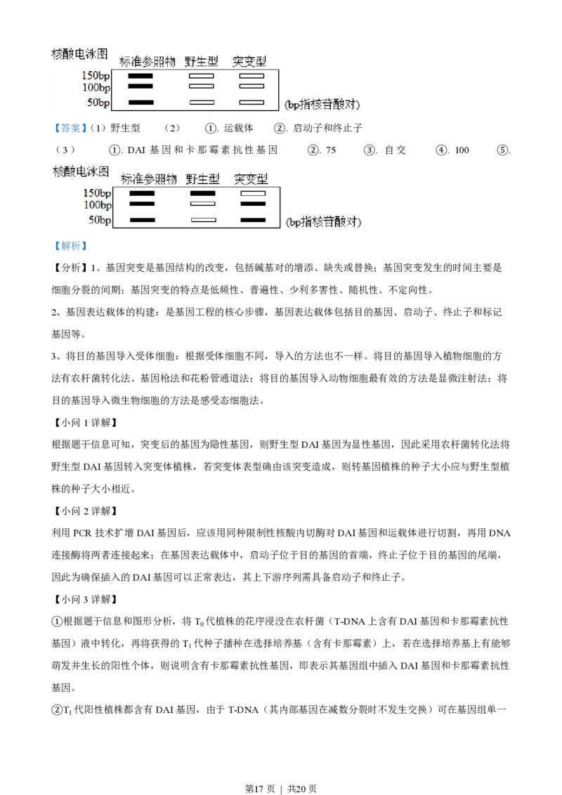 2023年高考生物试卷（广东）（解析卷）_生物历年高考真题_新&middot;PDF版2008-2025&middot;高考生物真题_生物（按年份分类）2008-2025_2023&middot;高考生物真题