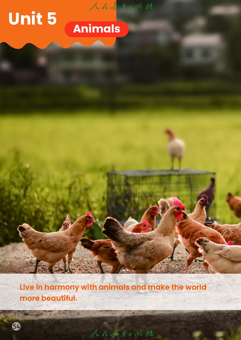 英语三下精通版（2025春）_小学全网线上同款资料_2025春新增教材合集_小学英语（2025春新教材）