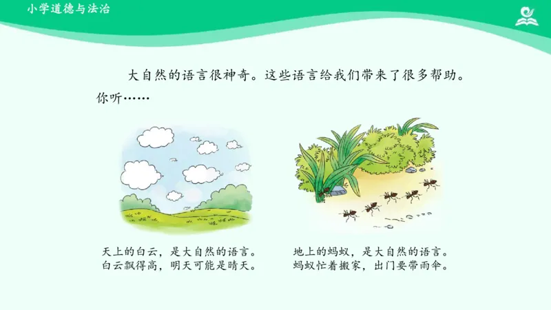 9大自然，谢谢您_课件_一年级上下册资料_小学一年级学习资料-25年更新版_1-08、小学一年级道德与法治下册_课时练与课件