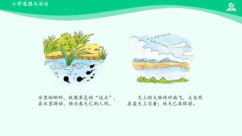 9大自然，谢谢您_课件_一年级上下册资料_小学一年级学习资料-25年更新版_1-08、小学一年级道德与法治下册_课时练与课件