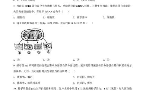 2022年高考生物试卷（广东）（空白卷）_生物历年高考真题_新&middot;PDF版2008-2025&middot;高考生物真题_生物（按年份分类）2008-2025_2022&middot;高考生物真题