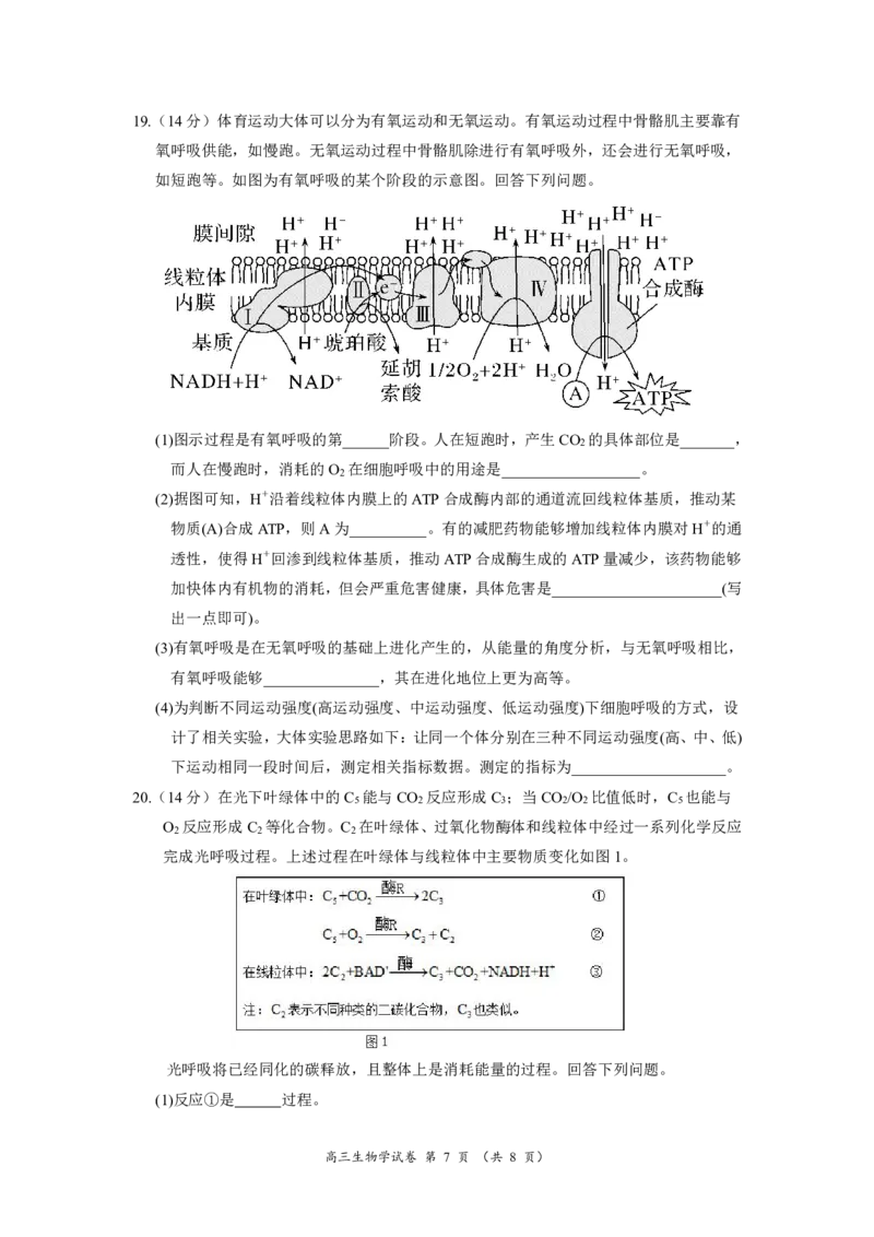 2025年10月广东省高三50校联考生物试卷_@高三模考真题_2025年10月广东省高三50校联考试卷及答案
