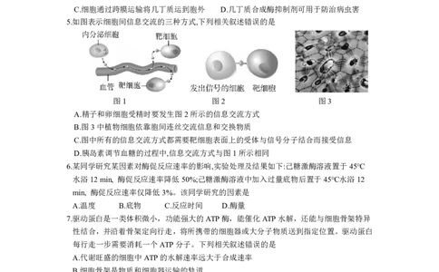 2025年10月广东省高三50校联考生物试卷_@高三模考真题_2025年10月广东省高三50校联考试卷及答案