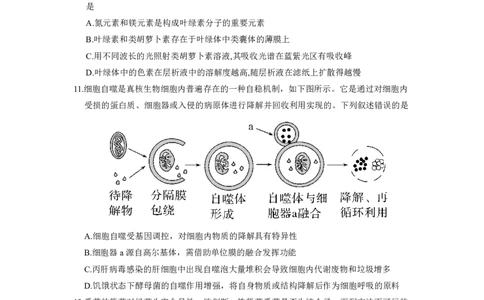 2025年10月广东省高三50校联考生物试卷_@高三模考真题_2025年10月广东省高三50校联考试卷及答案