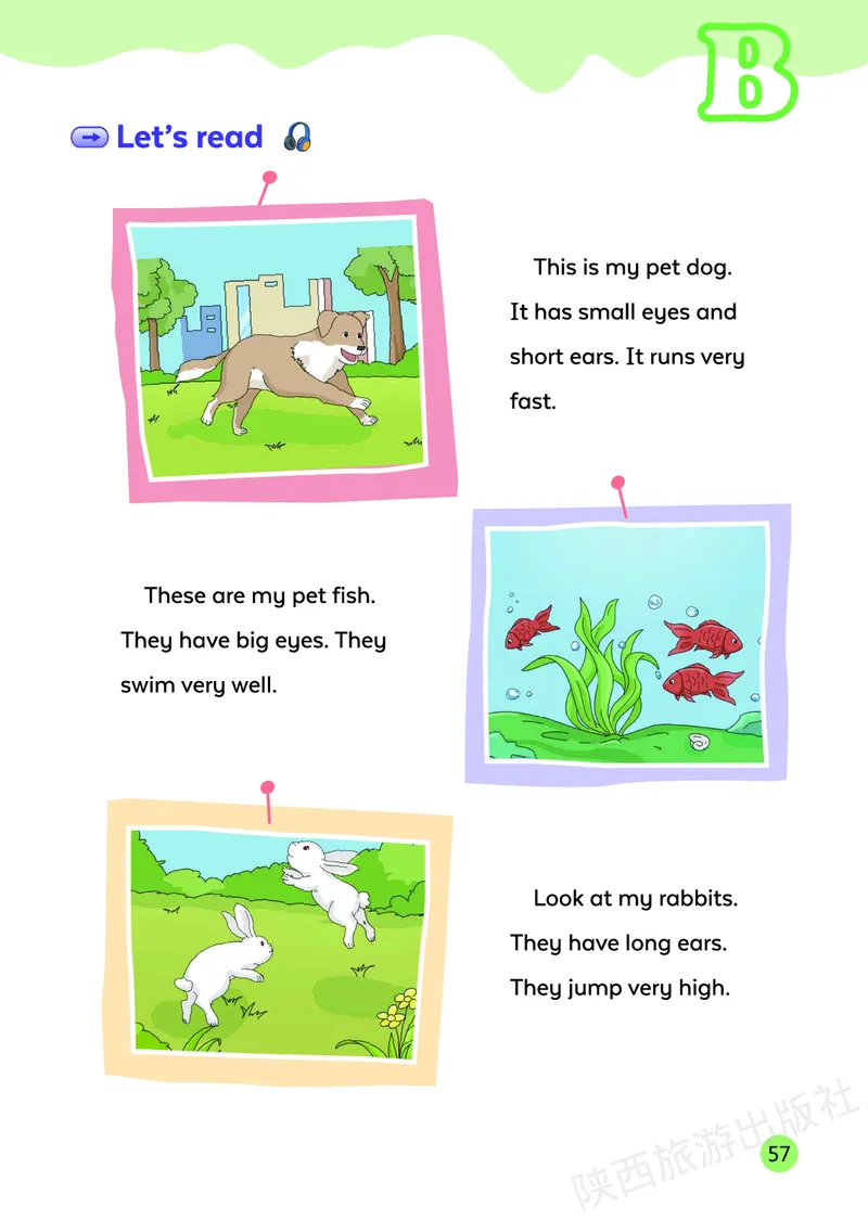 英语三下陕旅版（2025春）_小学全网线上同款资料_2025春新增教材合集_小学英语（2025春新教材）