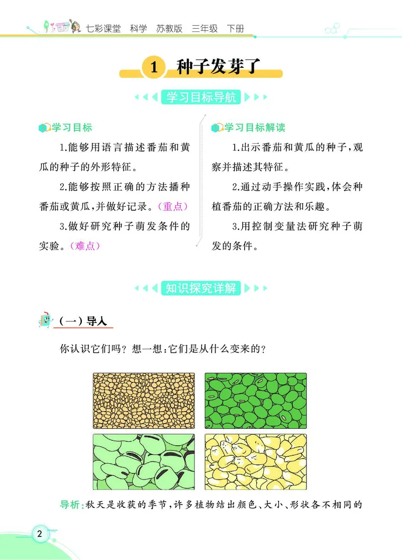 《七彩课堂》科学3年级下册（苏教版）_三年级上下册资料_小学三年级学习资料-25年更新版_3-10、小学三年级科学下册_苏教版_电子册类