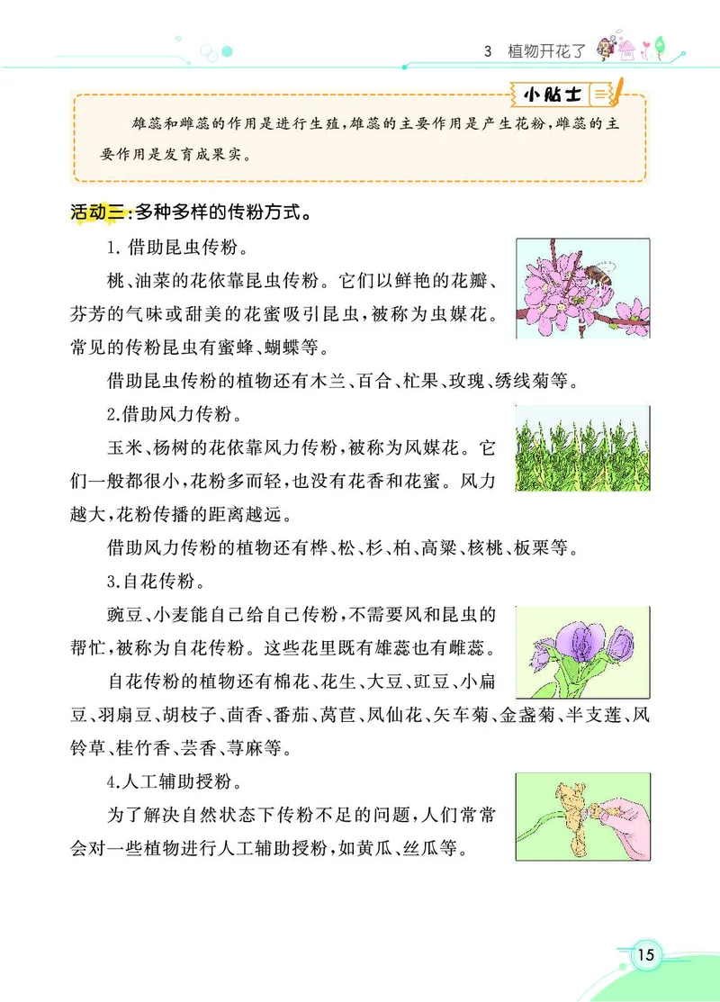 《七彩课堂》科学3年级下册（苏教版）_三年级上下册资料_小学三年级学习资料-25年更新版_3-10、小学三年级科学下册_苏教版_电子册类